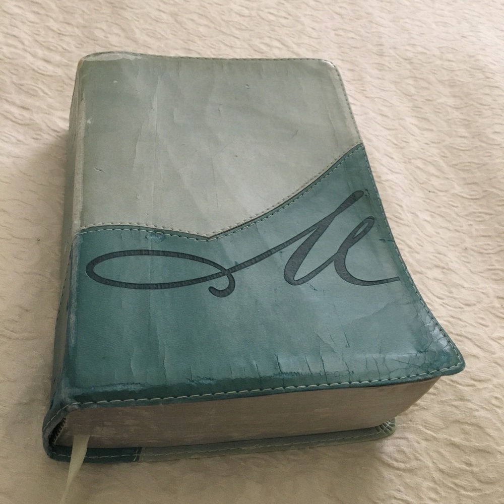 The MacArthur Study Bible